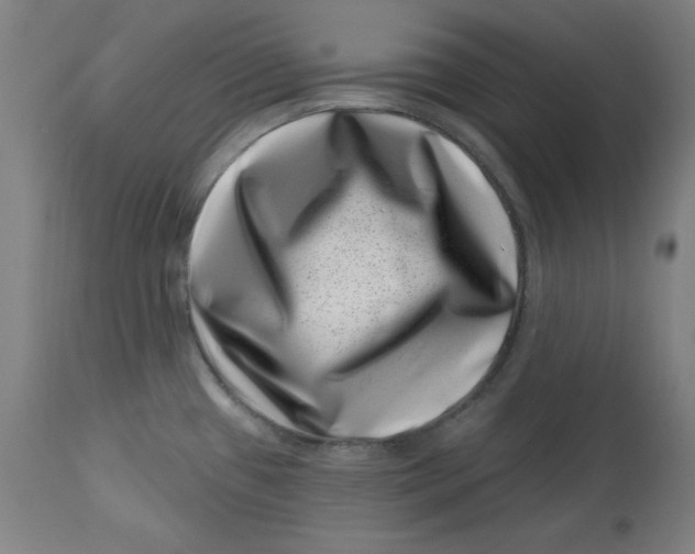 X0000113001433200909171355