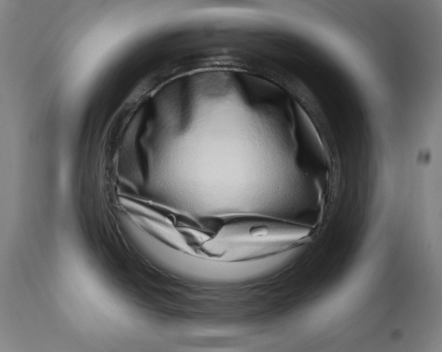 X0000113001438200909171355