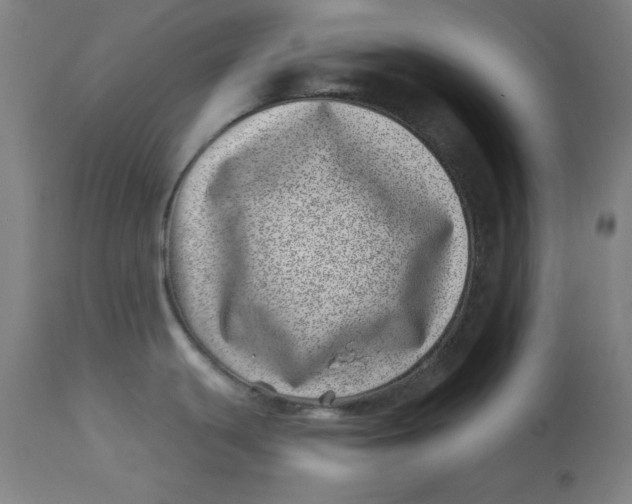 X0000113001439200909171355