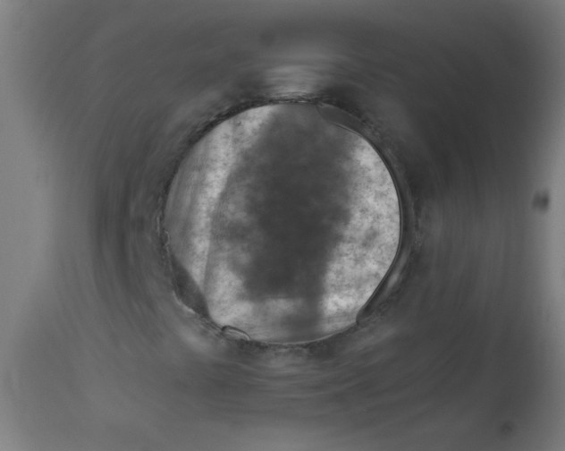 X0000113001441200909171355