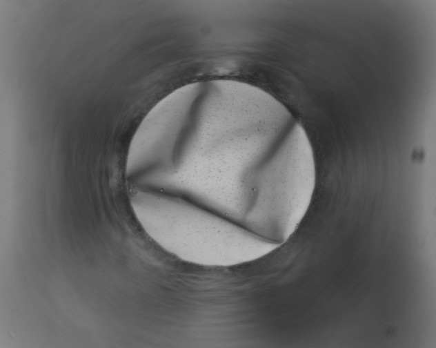 X0000113001442200909171355