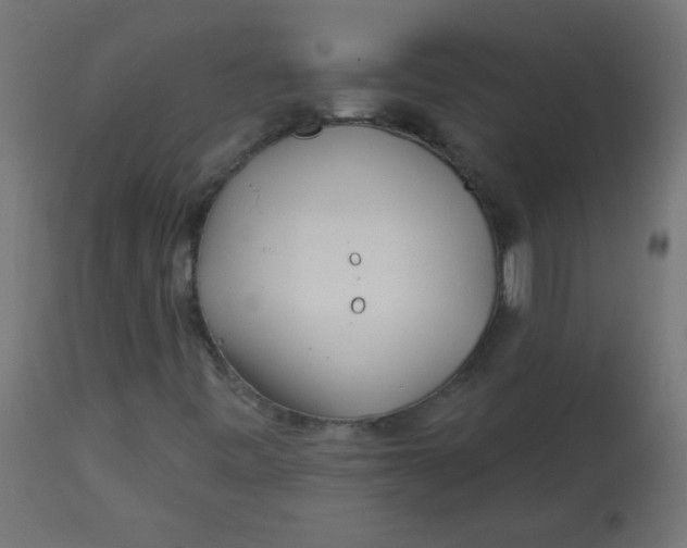 X0000113001443200909171355