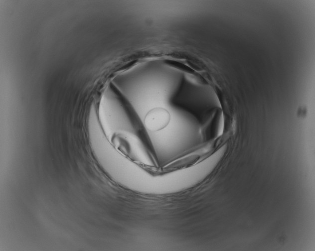 X0000113001444200909171355