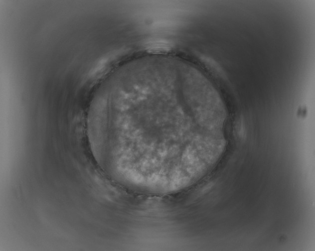 X0000113001445200909171355