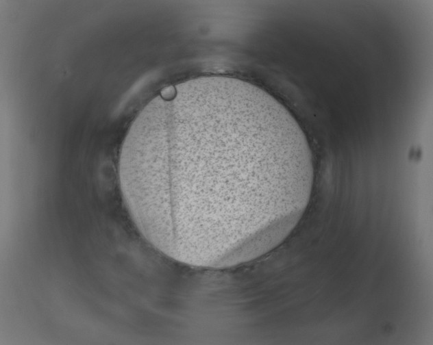 X0000113001446200909171355