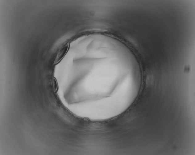 X0000113001448200909171355