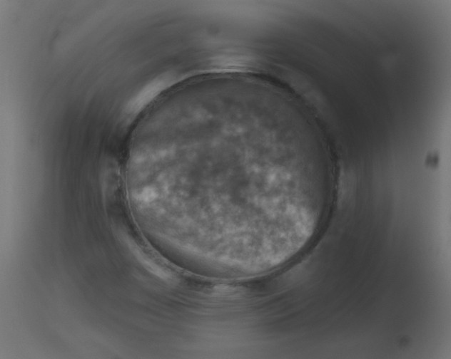 X0000113001449200909171355