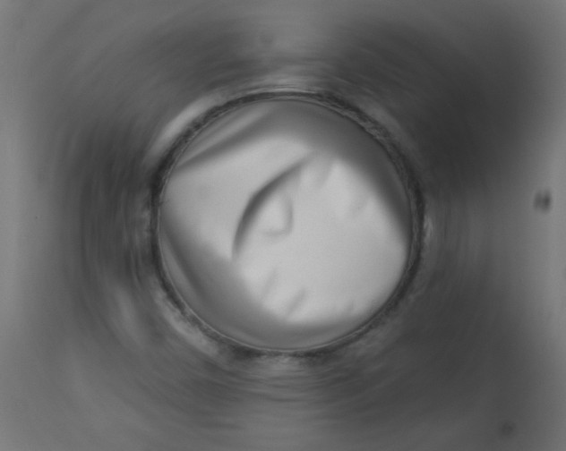 X0000113001450200909171355