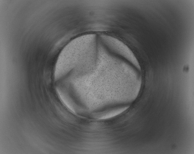 X0000113001451200909171355