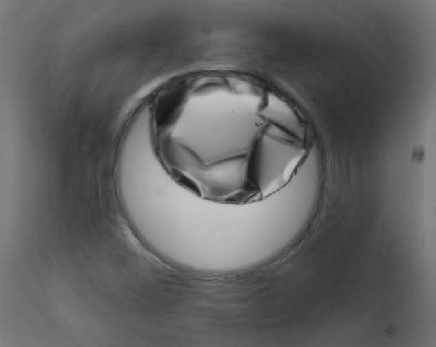 X0000113001452200909171355