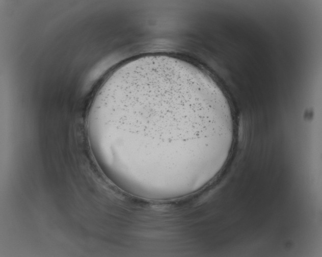 X0000113001453200909171355