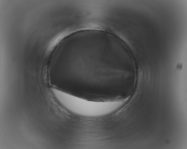 X0000113001455200909171354