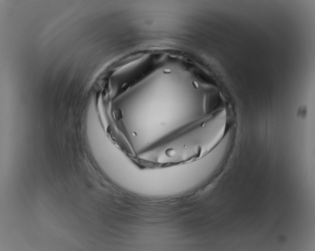 X0000113001457200909171354