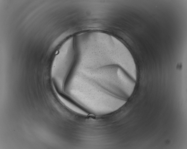 X0000113001458200909171354