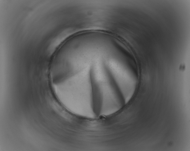 X0000113001460200909171354