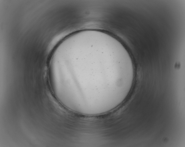 X0000113001461200909171354