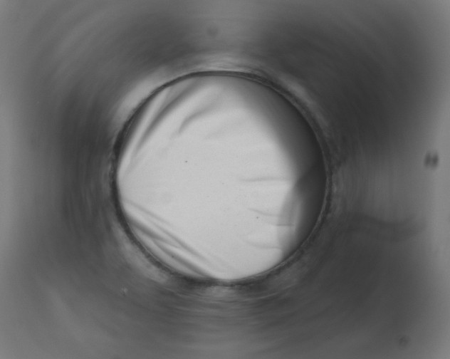 X0000113001463200909171354