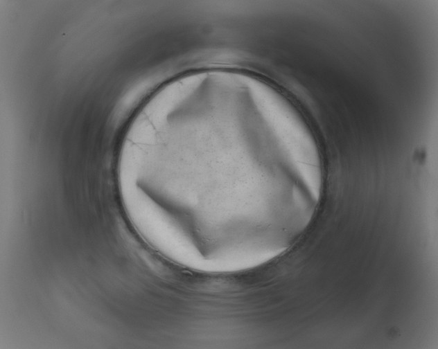 X0000113001464200909171354