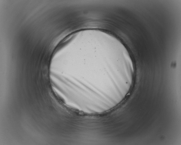 X0000113001465200909171354