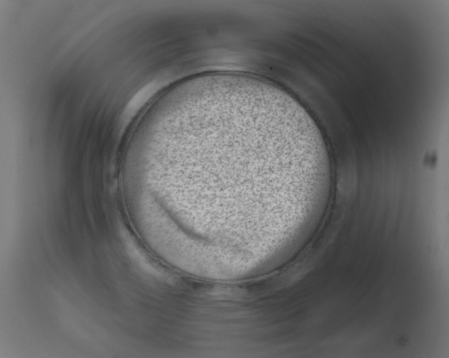 X0000113001466200909171354