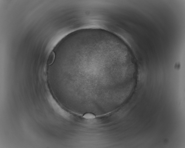 X0000113001468200909171354