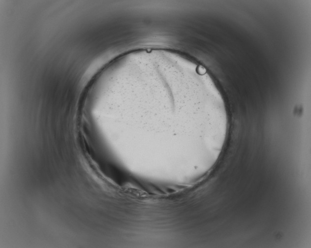 X0000113001469200909171354