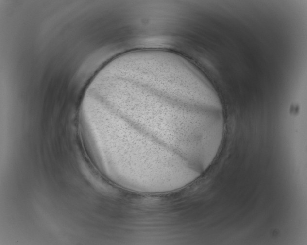 X0000113001470200909171354