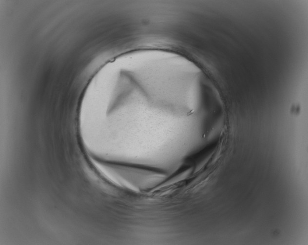 X0000113001471200909171354