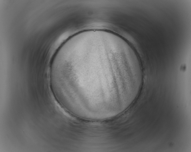 X0000113001472200909171354