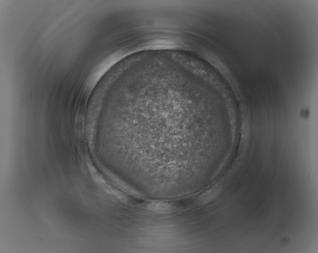 X0000113001473200909171354