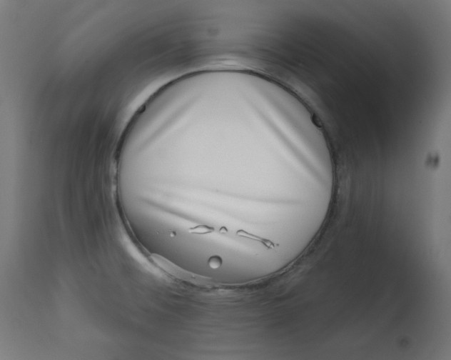 X0000113001476200909171354