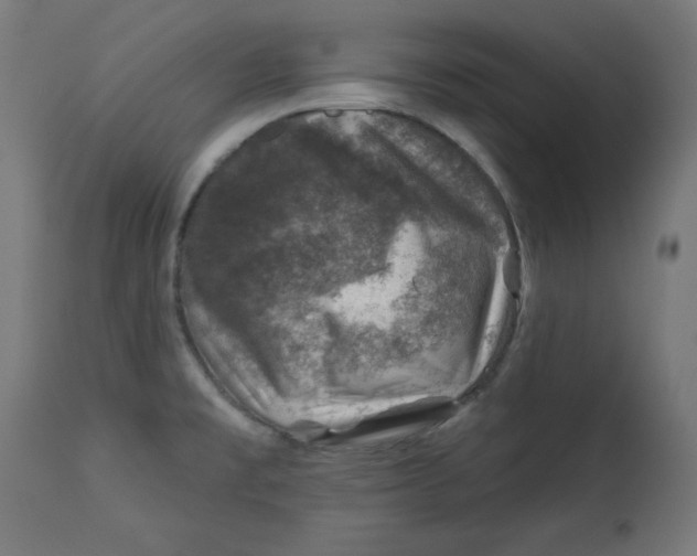 X0000113001477200909171354