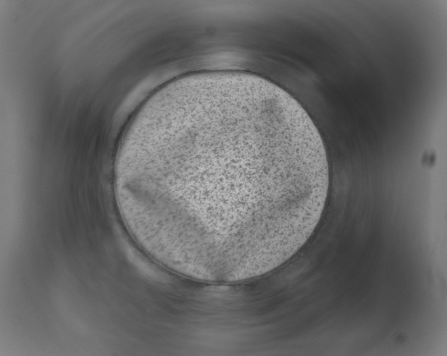 X0000113001478200909171354