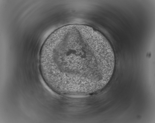 X0000113001479200909171354