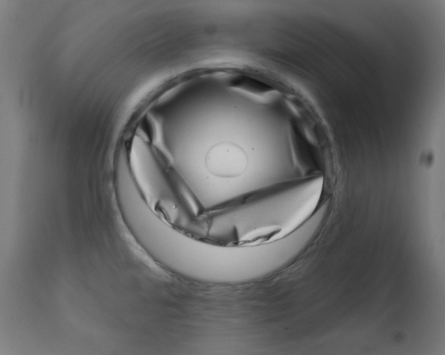 X0000113001480200909171354