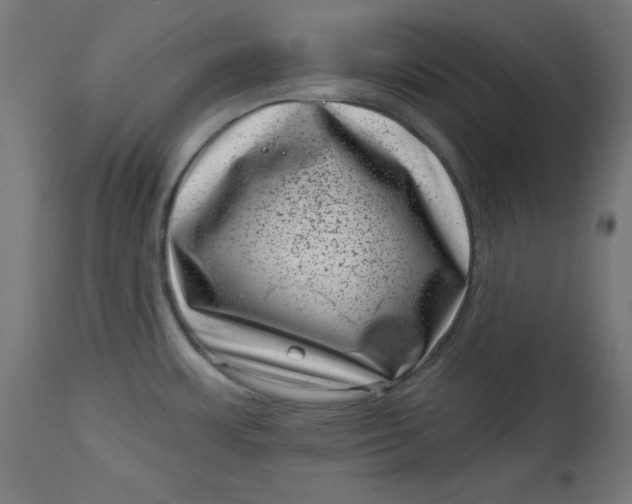 X0000113001483200909171354