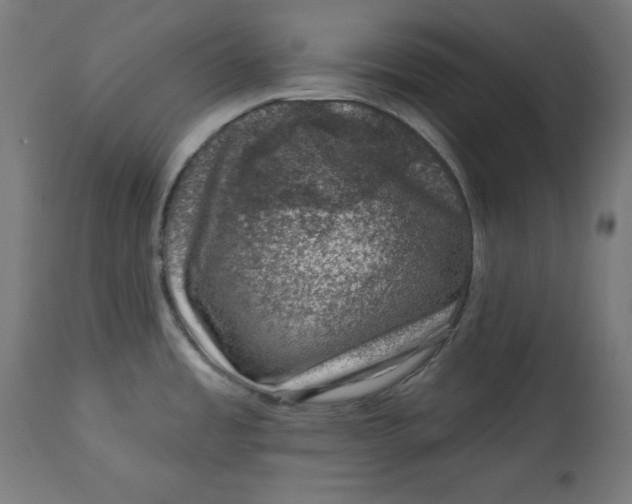 X0000113001485200909171354