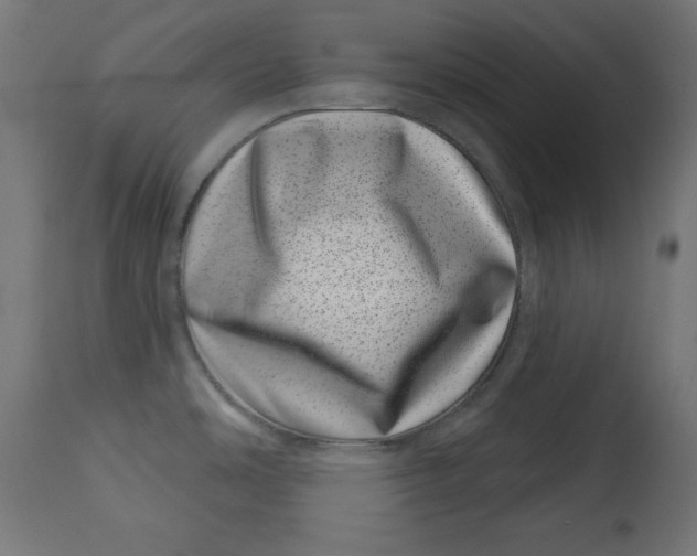 X0000113001486200909171354