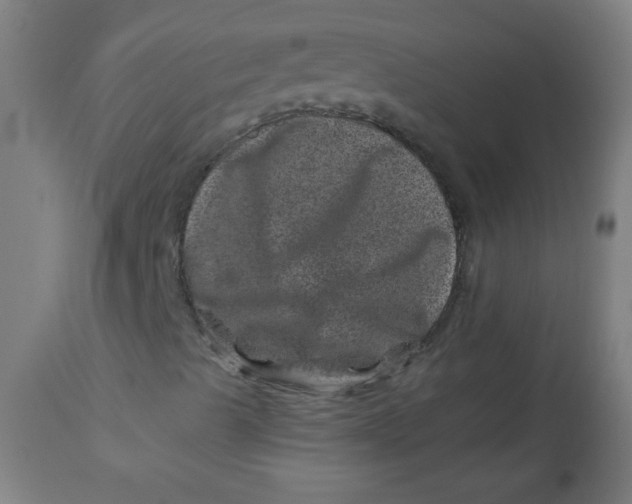 X0000113001489200909171353