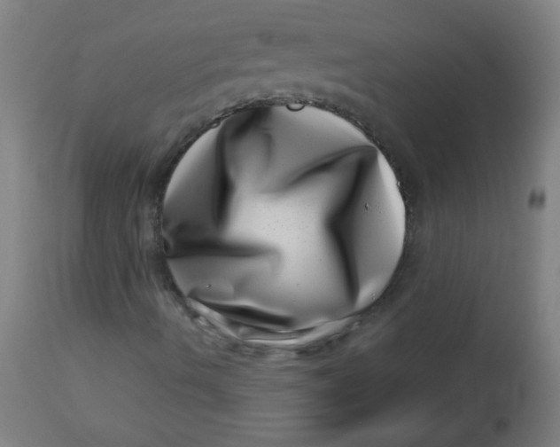 X0000113001490200909171353