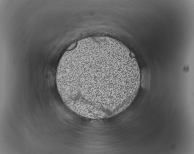 X0000113001491200909171353