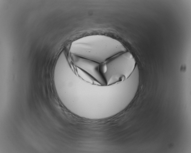 X0000113001492200909171353