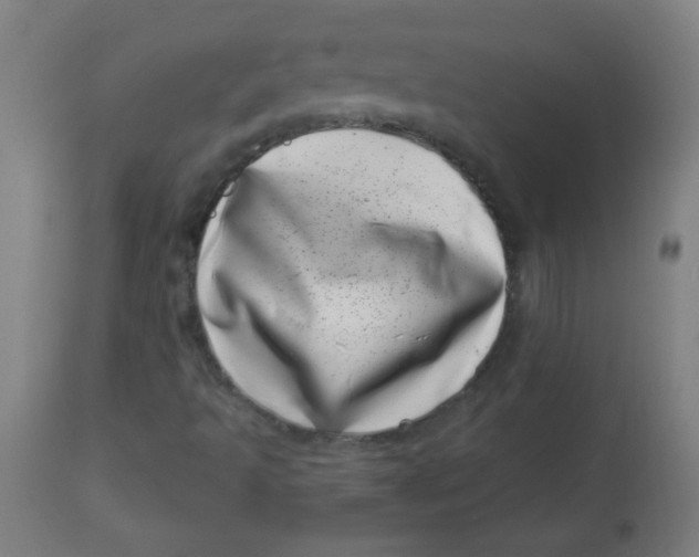 X0000113001493200909171353