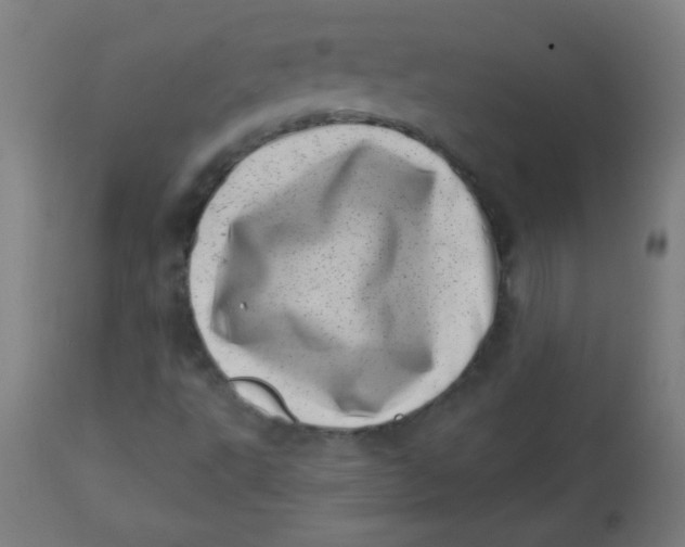 X0000113001495200909171353