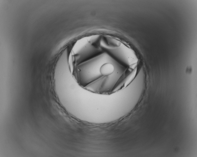 X0000113001496200909171353