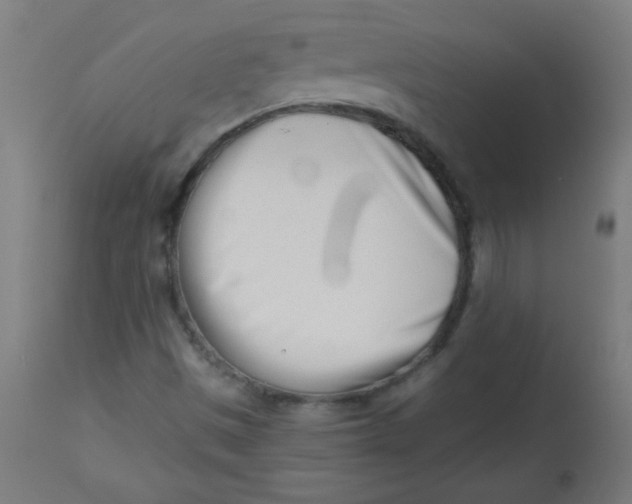 X0000113001497200909171353