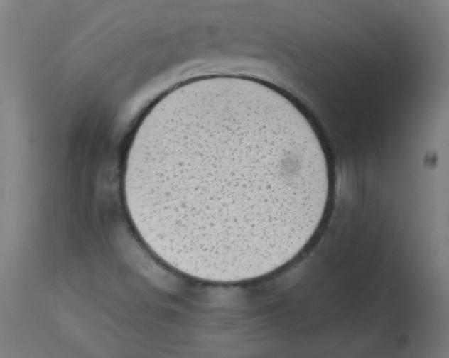 X0000113001498200909171353