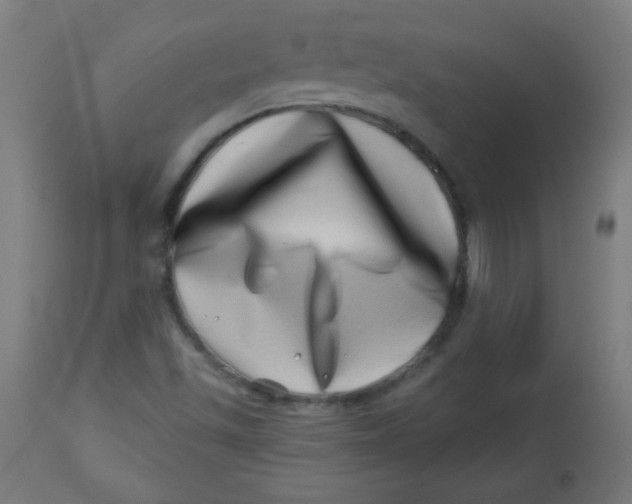 X0000113001501200909171353