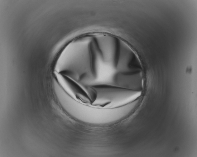 X0000113001502200909171353