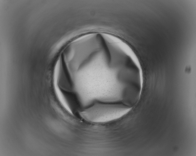 X0000113001503200909171353